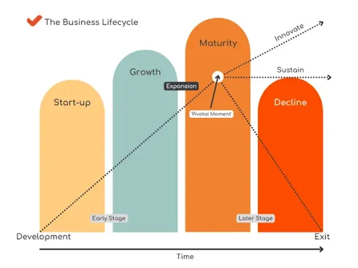 Factors That Influence Financing Strategy